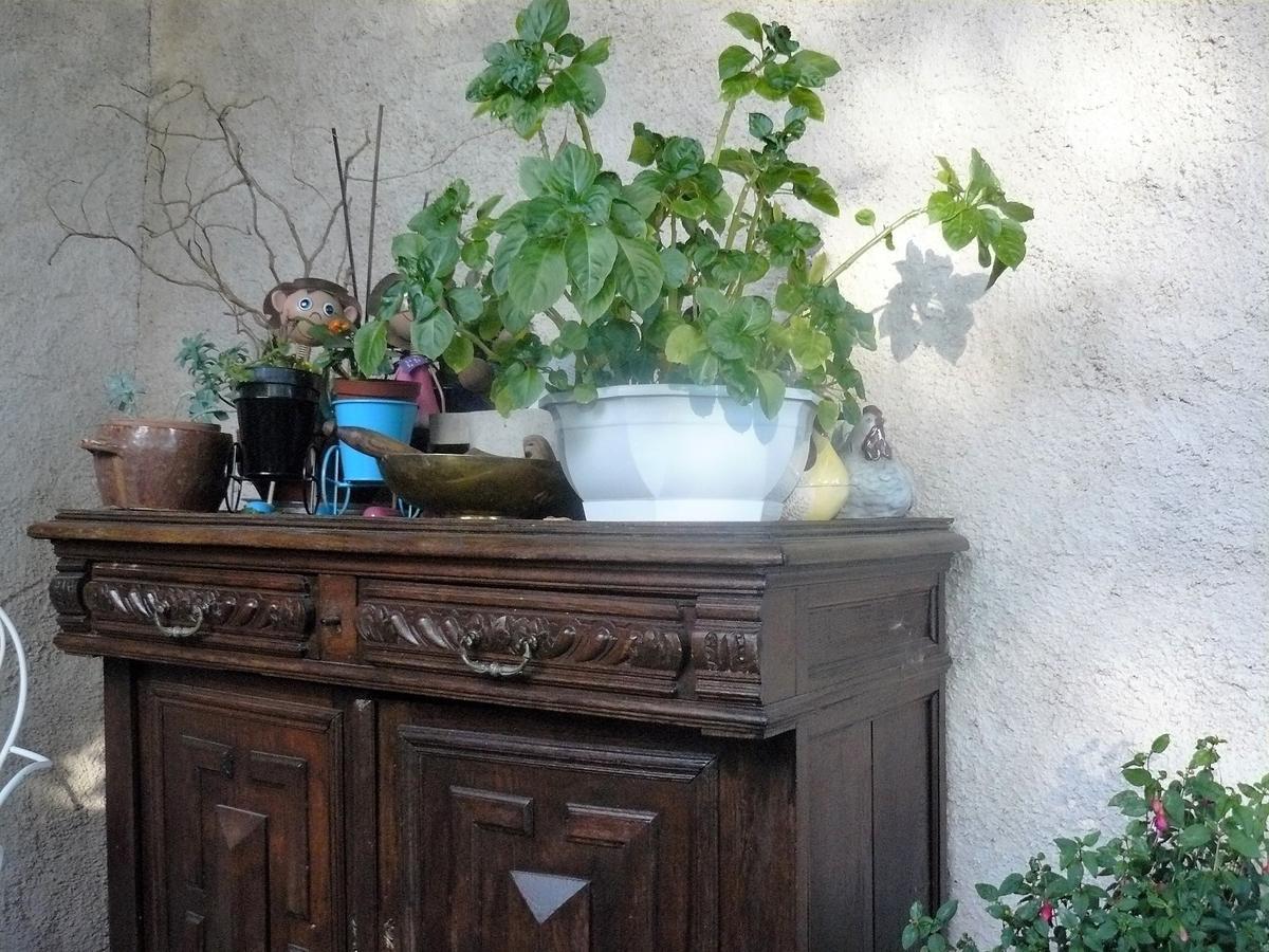 Bed and Breakfast Chez Camille Etrigny Экстерьер фото